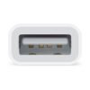 apple lightning to usb adapter