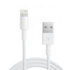 Apple USB to Lightning Cable 2M price in pakistan